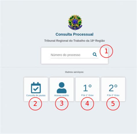 Consulta Processual (Consultar pelo Número do Processo).